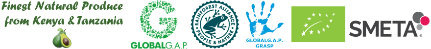 Company Banner
